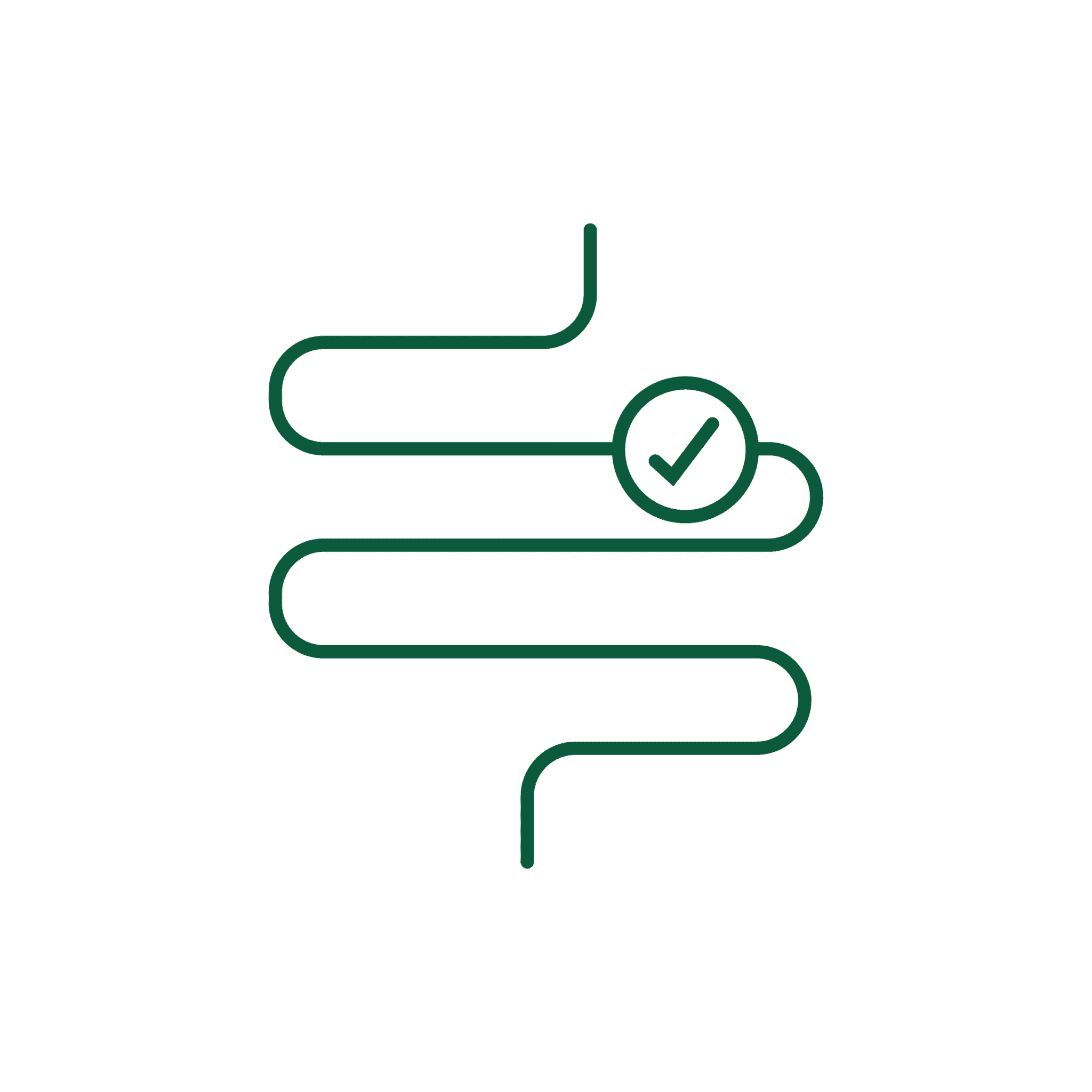 digestion